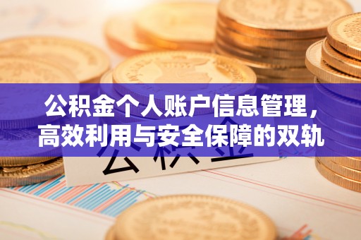 杉林公积金个人账户信息管理，高效利用与安全保障的双轨并行