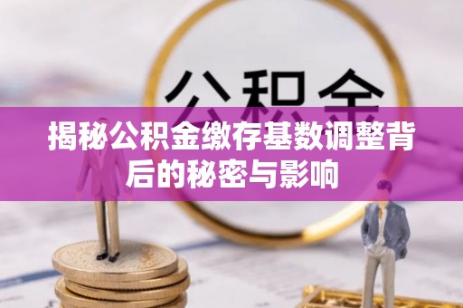 杉林揭秘公积金缴存基数调整背后的秘密与影响