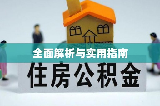 杉林全面解析与实用指南