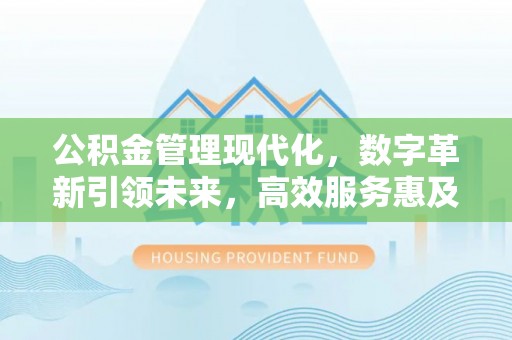 杉林公积金管理现代化，数字革新引领未来，高效服务惠及民生
