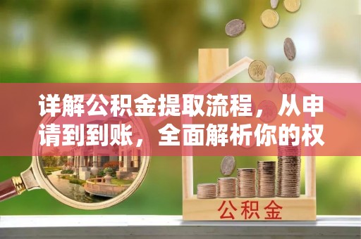 杉林详解公积金提取流程，从申请到到账，全面解析你的权益与操作步骤
