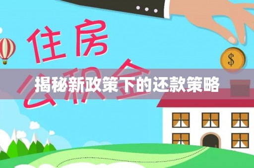 杉林揭秘新政策下的还款策略
