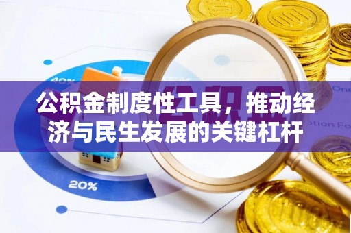 杉林公积金制度性工具，推动经济与民生发展的关键杠杆
