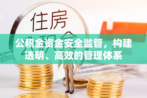 杉林公积金资金安全监管，构建透明、高效的管理体系