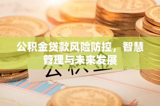 杉林公积金贷款风险防控，智慧管理与未来发展