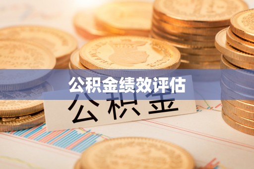 杉林公积金绩效评估