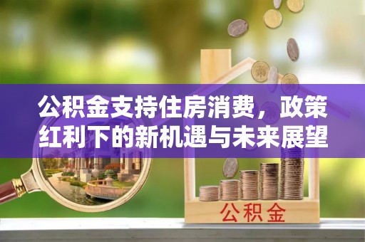 杉林公积金支持住房消费，政策红利下的新机遇与未来展望