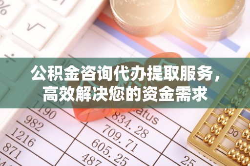 杉林公积金咨询代办提取服务，高效解决您的资金需求