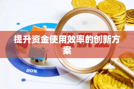 杉林提升资金使用效率的创新方案