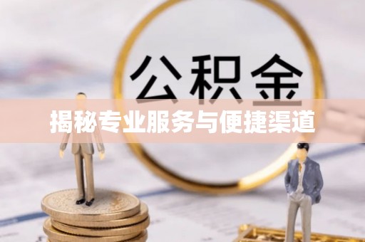 杉林揭秘专业服务与便捷渠道