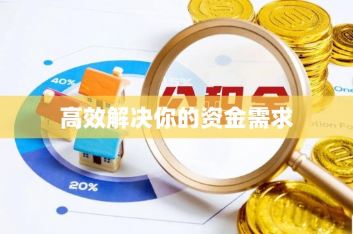杉林高效解决你的资金需求