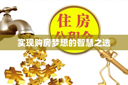 杉林实现购房梦想的智慧之选