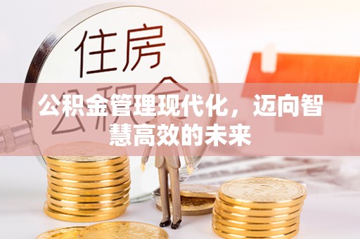 杉林公积金管理现代化，迈向智慧高效的未来
