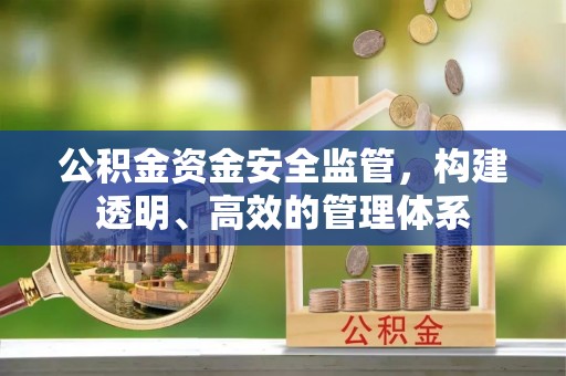 杉林公积金资金安全监管，构建透明、高效的管理体系