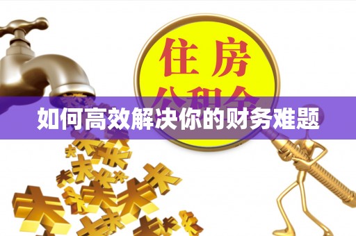 杉林如何高效解决你的财务难题