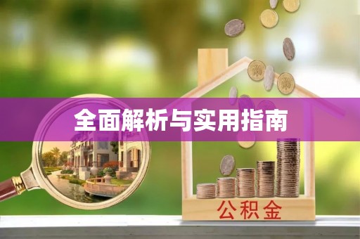 杉林全面解析与实用指南