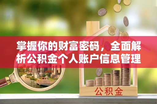 杉林掌握你的财富密码，全面解析公积金个人账户信息管理