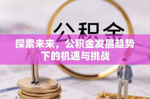 杉林探索未来，公积金发展趋势下的机遇与挑战