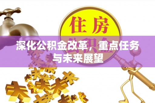 杉林深化公积金改革，重点任务与未来展望