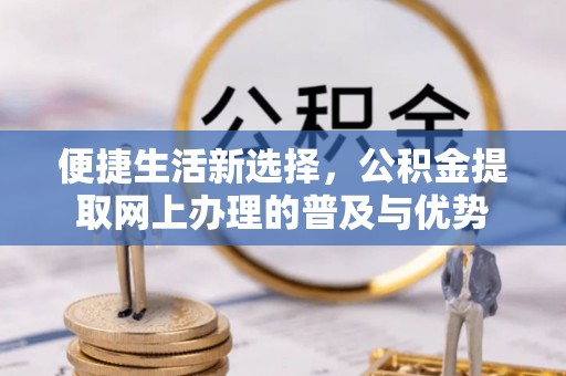杉林便捷生活新选择，公积金提取网上办理的普及与优势