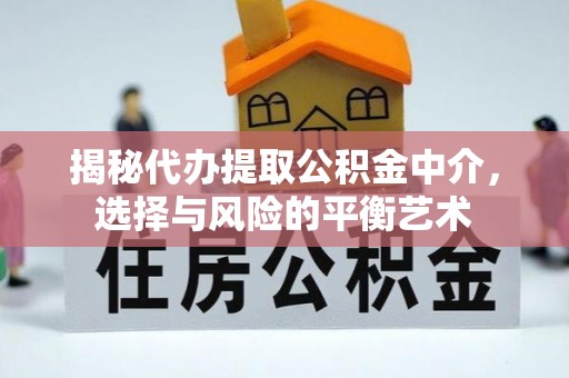 杉林揭秘代办提取公积金中介，选择与风险的平衡艺术