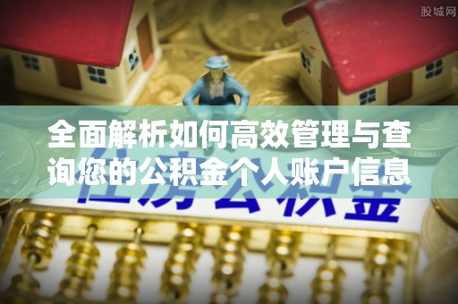 杉林全面解析如何高效管理与查询您的公积金个人账户信息