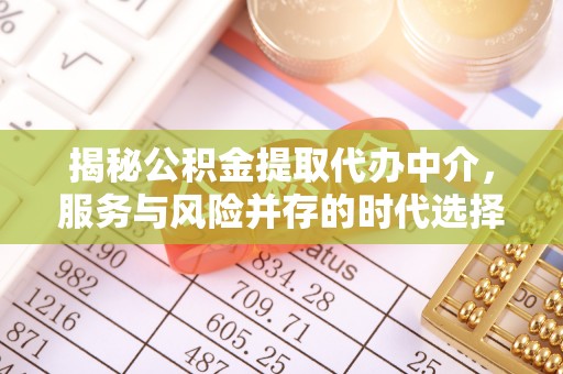 杉林揭秘公积金提取代办中介，服务与风险并存的时代选择