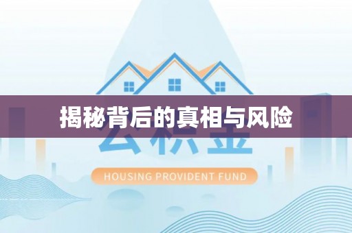 杉林揭秘背后的真相与风险
