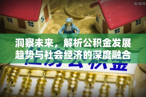 杉林洞察未来，解析公积金发展趋势与社会经济的深度融合