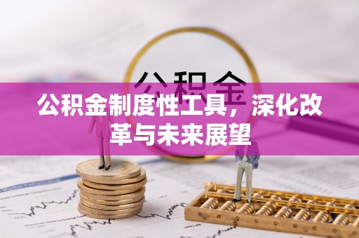 杉林公积金制度性工具，深化改革与未来展望