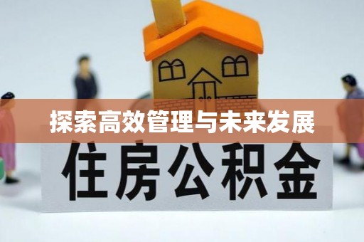 杉林探索高效管理与未来发展