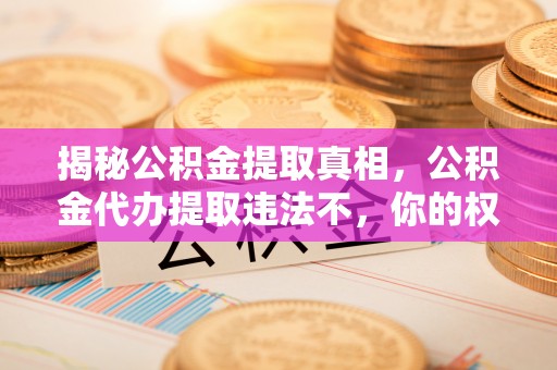 杉林揭秘公积金提取真相，公积金代办提取违法不，你的权益如何保障？