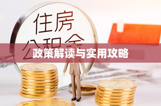 杉林政策解读与实用攻略