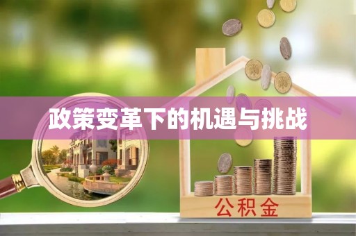 杉林政策变革下的机遇与挑战