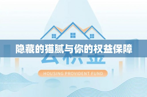 杉林隐藏的猫腻与你的权益保障