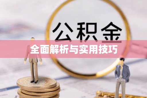 杉林全面解析与实用技巧