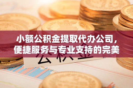 杉林小额公积金提取代办公司，便捷服务与专业支持的完美结合