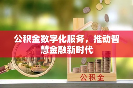 杉林公积金数字化服务，推动智慧金融新时代
