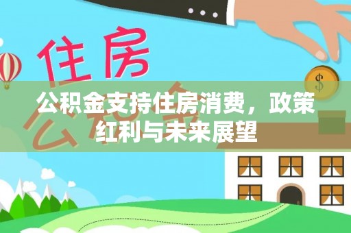 杉林公积金支持住房消费，政策红利与未来展望