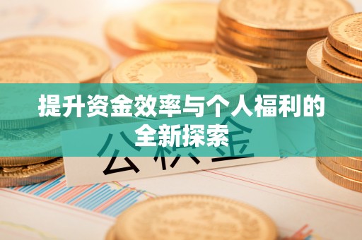 杉林提升资金效率与个人福利的全新探索