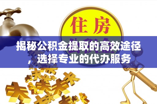 杉林揭秘公积金提取的高效途径，选择专业的代办服务