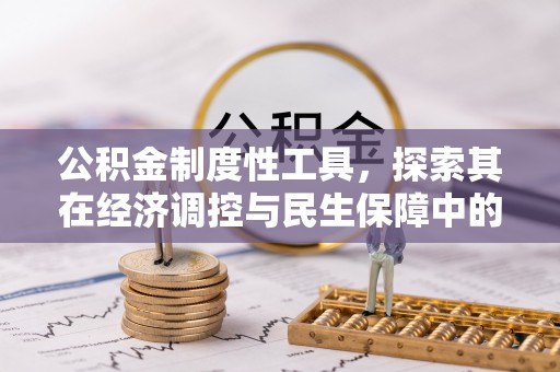 杉林公积金制度性工具，探索其在经济调控与民生保障中的重要作用