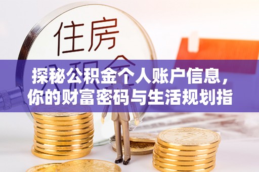 杉林探秘公积金个人账户信息，你的财富密码与生活规划指南