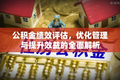 杉林公积金绩效评估，优化管理与提升效益的全面解析