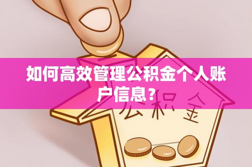 杉林如何高效管理公积金个人账户信息？