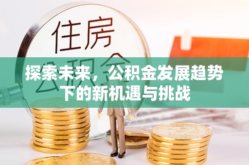杉林探索未来，公积金发展趋势下的新机遇与挑战