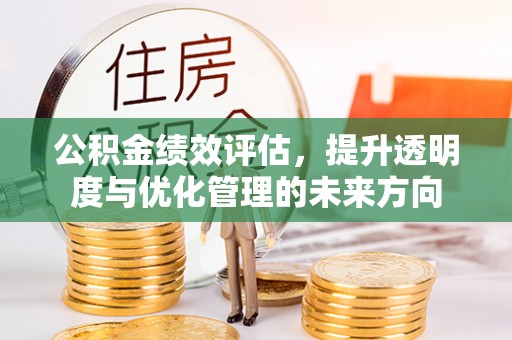 杉林公积金绩效评估，提升透明度与优化管理的未来方向