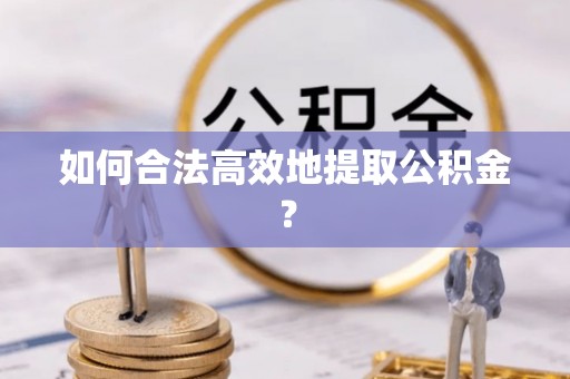 杉林如何合法高效地提取公积金？