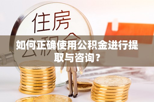 杉林如何正确使用公积金进行提取与咨询？