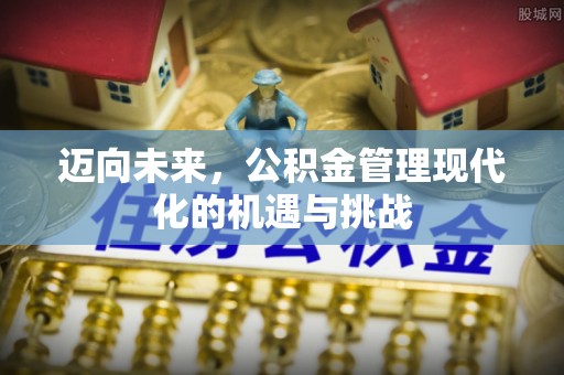 杉林迈向未来，公积金管理现代化的机遇与挑战